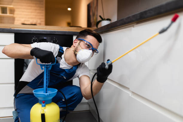 Best Affordable Pest Control Services  in Watkinsville, GA