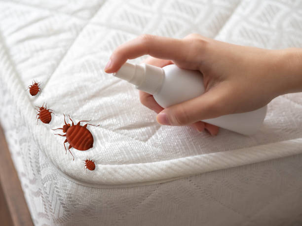 Best Local Pest Control Services  in Watkinsville, GA